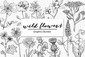 WILD FLOWERS - Graphics Bundle