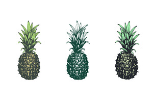 Pineapple Vector Collection