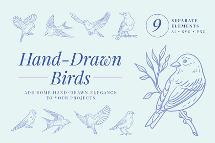 Hand-Drawn Birds, an Animal Illustration by M.Scarlett Creative