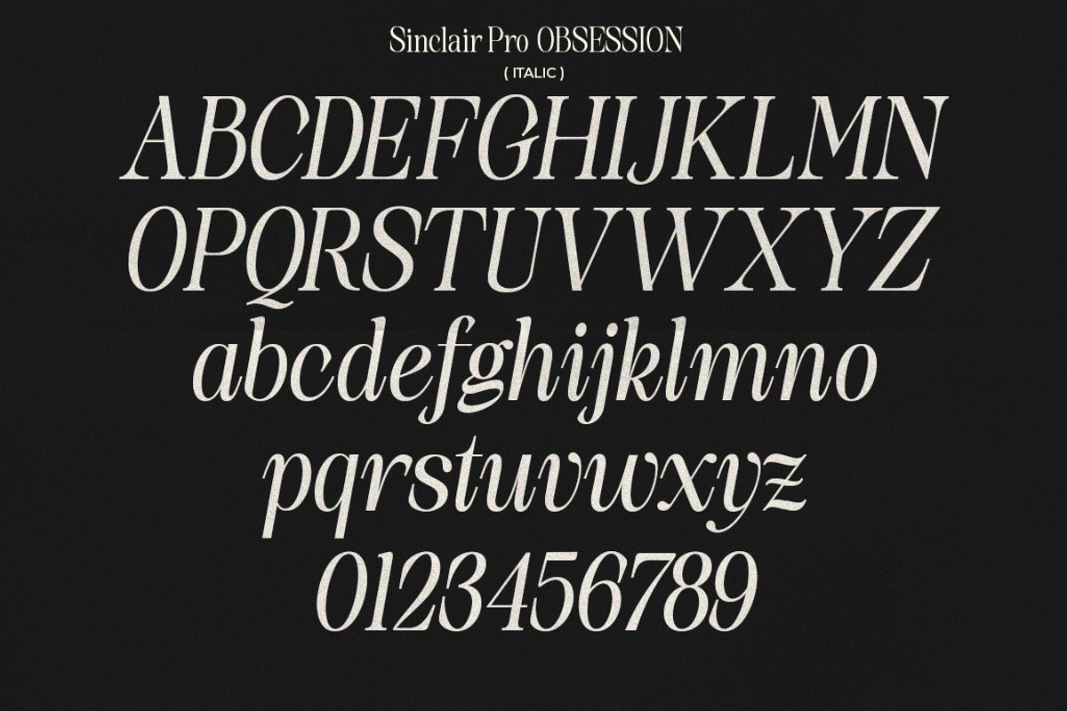 Sinclair Pro Obsession | 12 Font, a Serif Font by Natural Ink Studio (Photo 16 of 17)