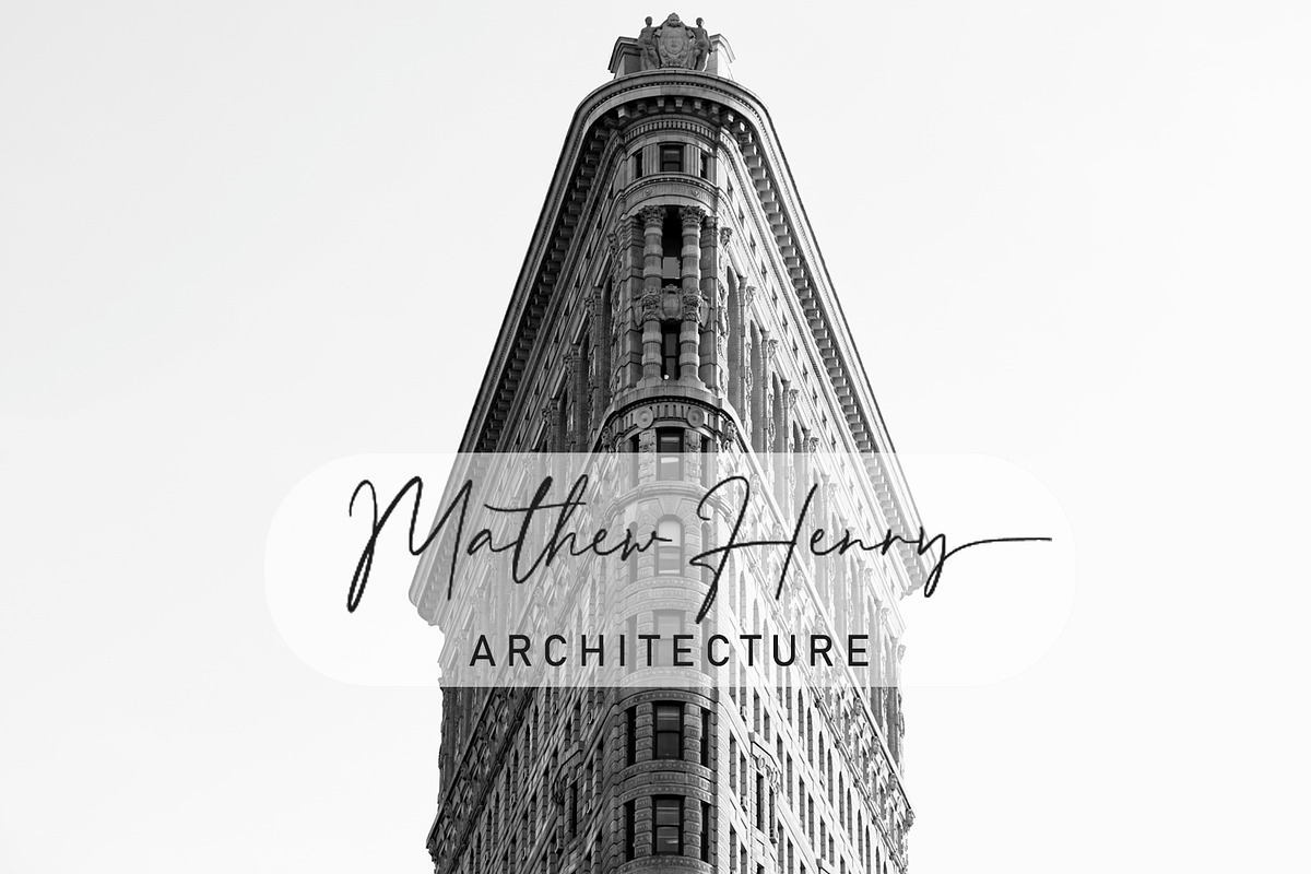 Birdsong - Script Font preview 5