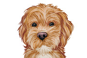 Dogs Most Popular in World,  510 Pet, an Illustration by Dneprstock (Thumbnail 5 of 5)