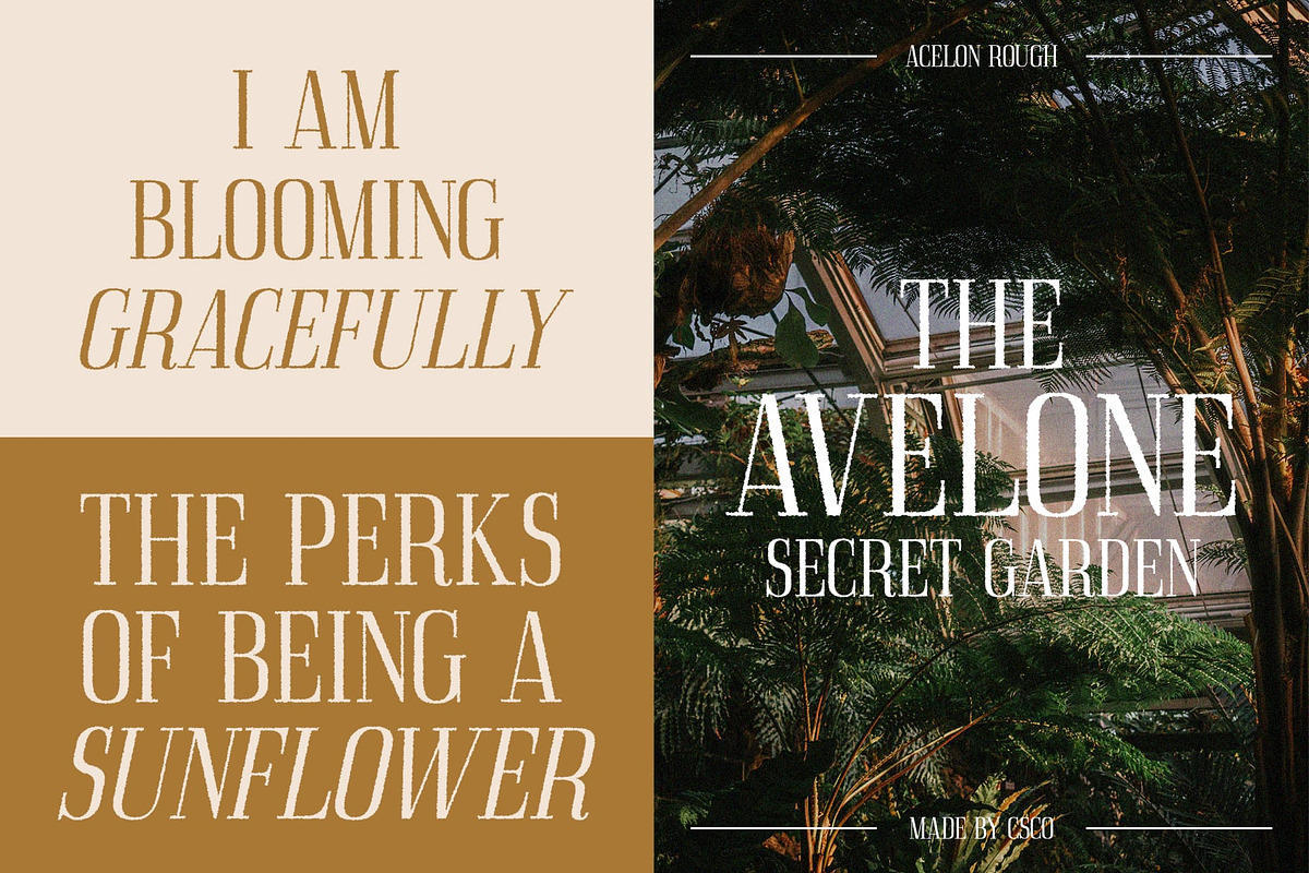 Acelon Rough, a Serif Font by Craft Supply Co. (Photo 3 of 8)