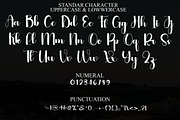 Beauty, a Script Font by InermediaSTUDIO (Thumbnail 4 of 8)
