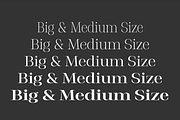 Stigsa Display Font Family, a Serif Font by Seniors (Thumbnail 6 of 15)