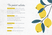 Lemon Cliparts, Frames & Patterns, a Decorative Illustration by Panna Limon Store (Thumbnail 2 of 18)