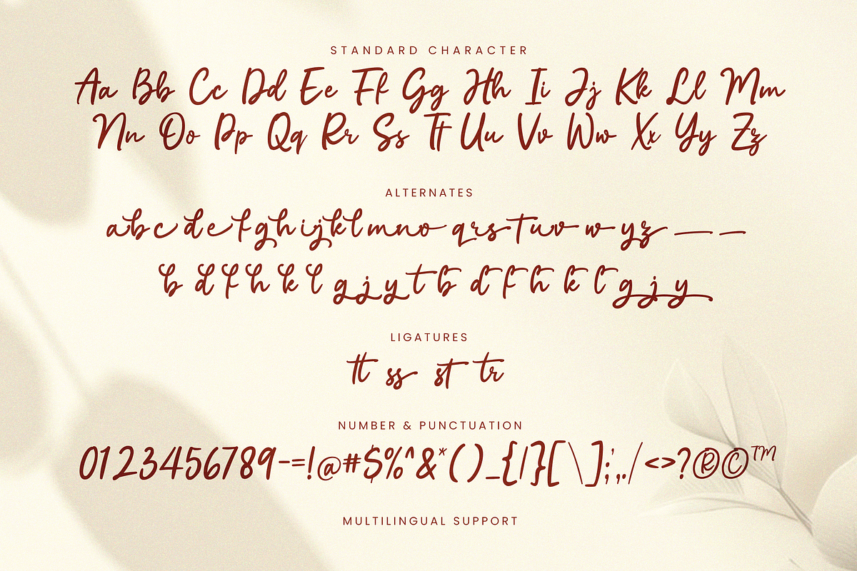 Charlotte Classic Elegance Script, a Handwritten Font by Portocraft (Photo 10 of 10)
