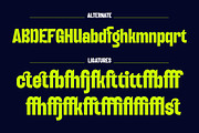 Boldy Grotesque | Condensed Font, a Sans Serif Font by ClevUs (Thumbnail 11 of 13)