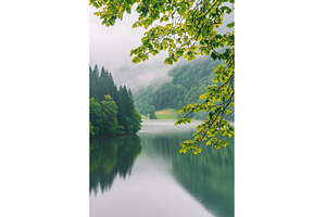 Serene Forest Lake Surrounded by, a Nature Photo by Lermont51