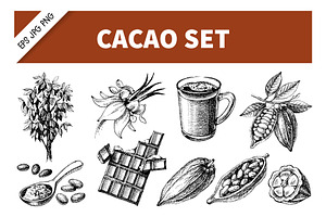 Hand Darwn Cacao Vector Set, a Food Illustration by Elena Pimonova