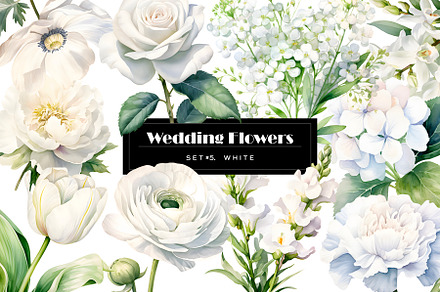 Watercolor white wedding flowers set