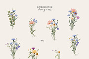 Watercolor Wildflowers Collection, an Object Illustration by Jenteva Art (Thumbnail 3 of 18)