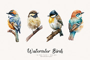 Watercolor Birds I, an Animal Illustration by PeDe Designs (Thumbnail 2 of 5)