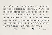 Typorama – Elegant Serif Font, a Serif Font by Only Fonts (Thumbnail 10 of 11)