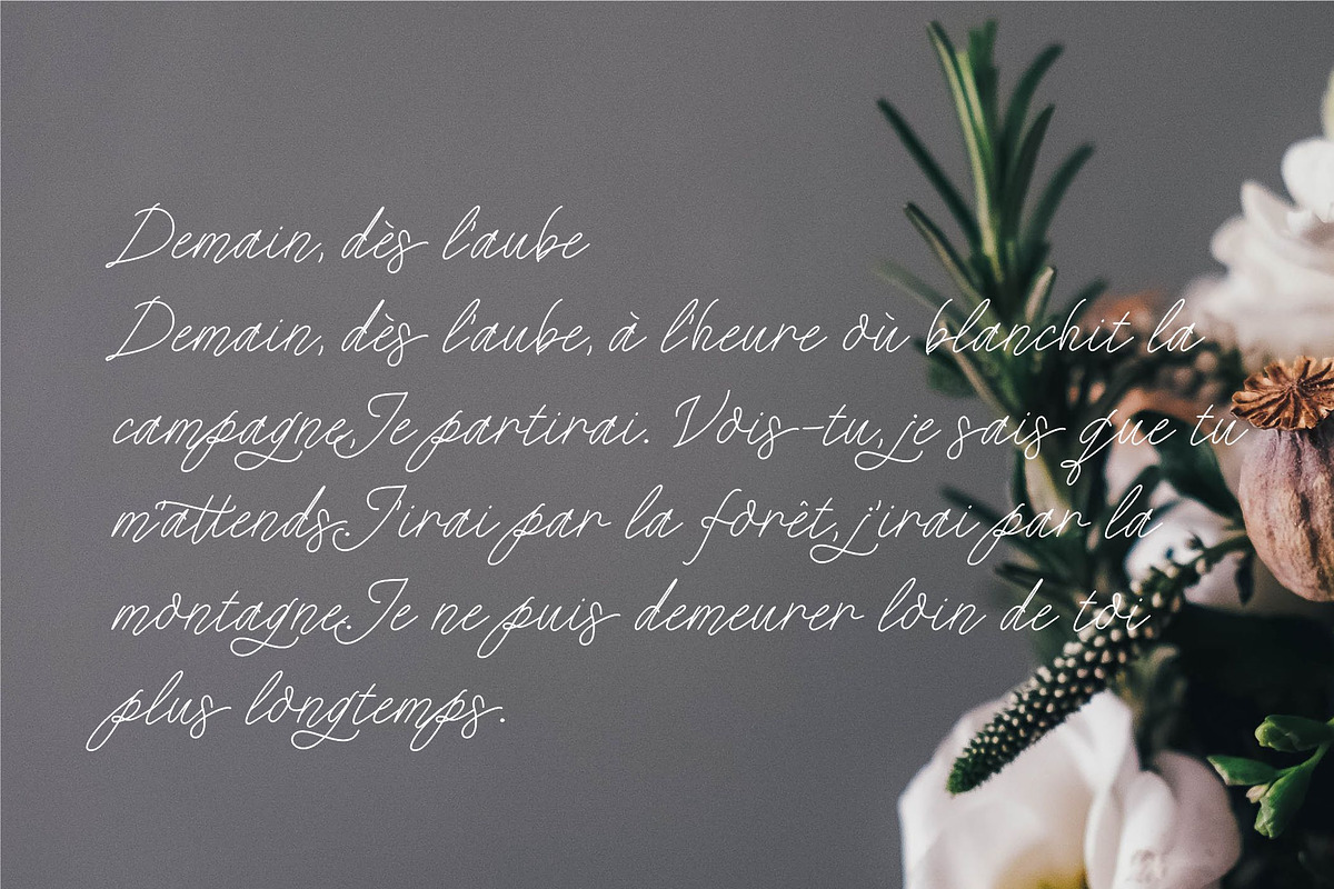Que Sera Monoline Script preview 4