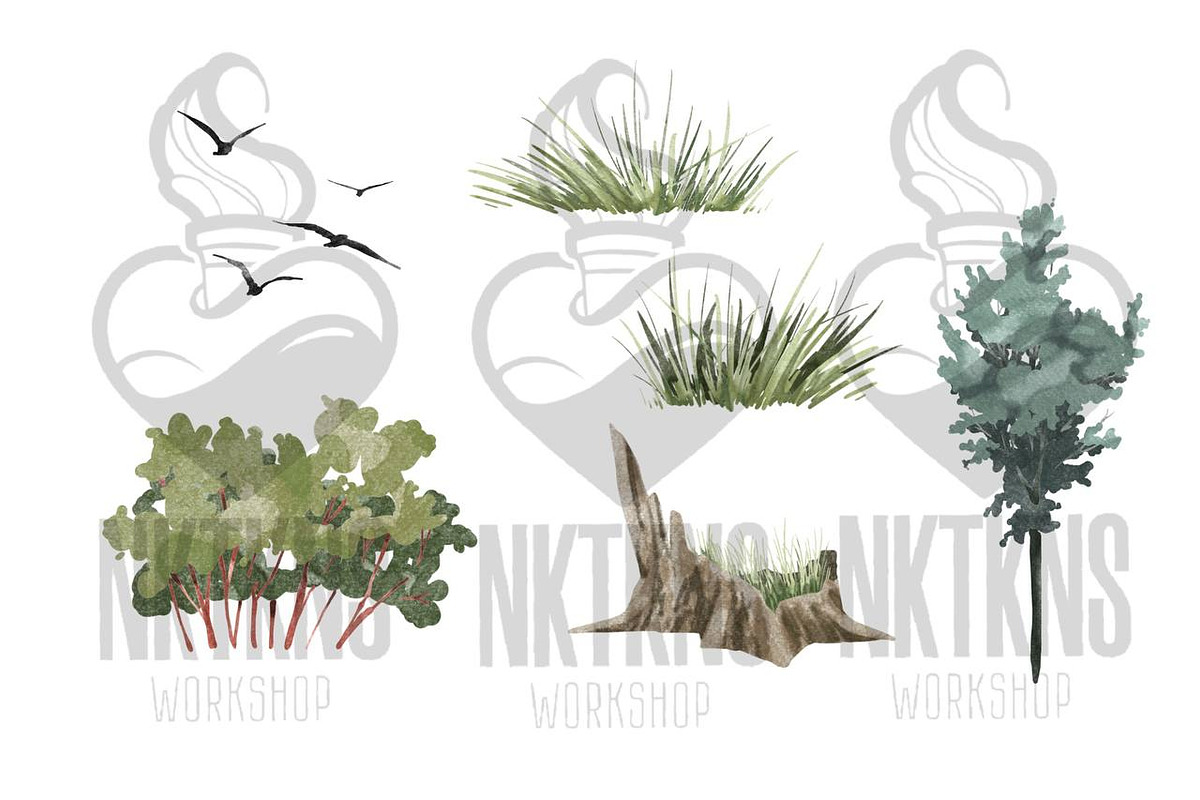 Trees Watercolor clipart. Forest, a Decorative Illustration by NKTKNS (Photo 4 of 8)