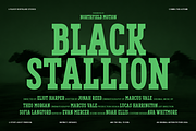 Vortiger – Modern Western Serif, a Serif Font by roomspace creative lab (Thumbnail 2 of 10)