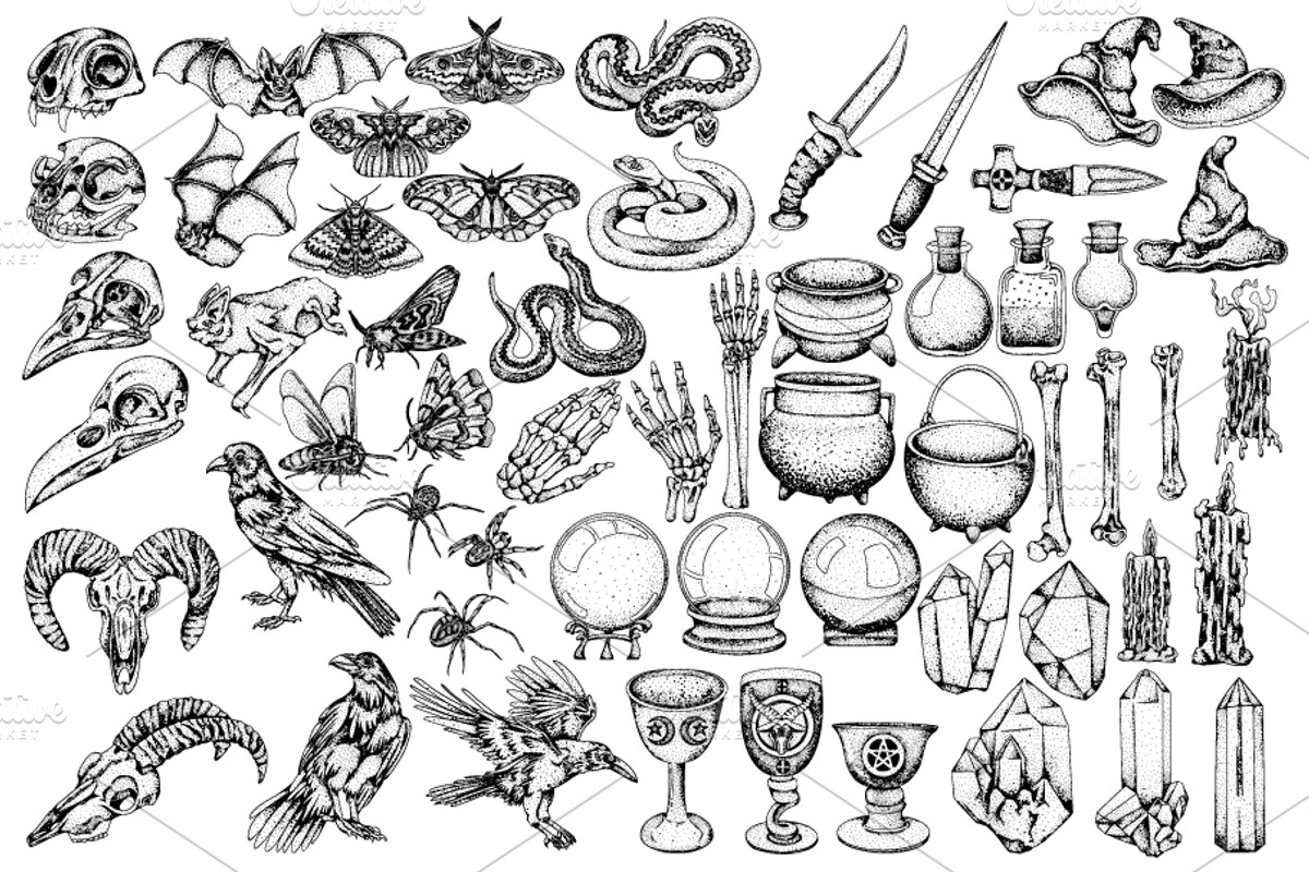 Witchcraft & Occult Vector, an Object Illustration by Elena Mykhailenko (Photo 3 of 7)