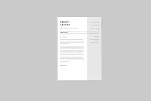 Robert Developer Resume Designer