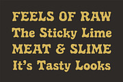 Meltica - Handmade Organic Serif, a Serif Font by Panatype™ Studio (Thumbnail 9 of 10)