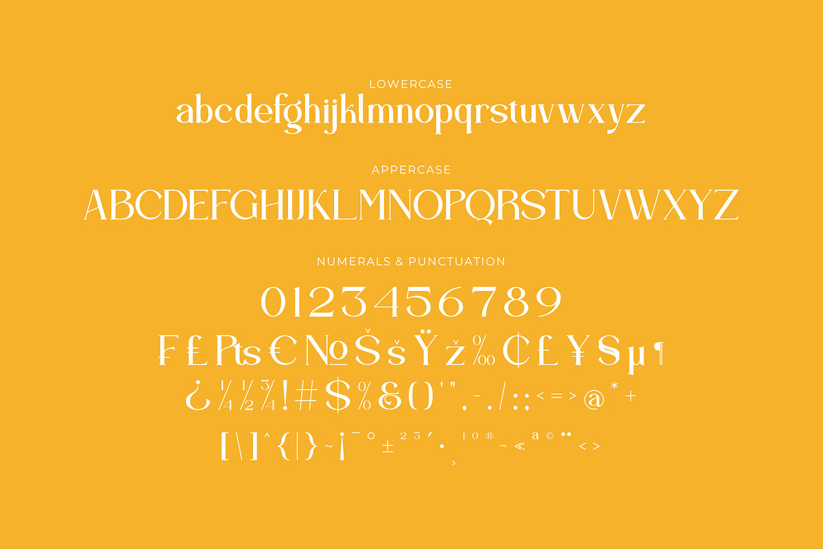 Bravillie - Serif Typeface Font, a Serif Font by Rishsketch (Photo 13 of 15)
