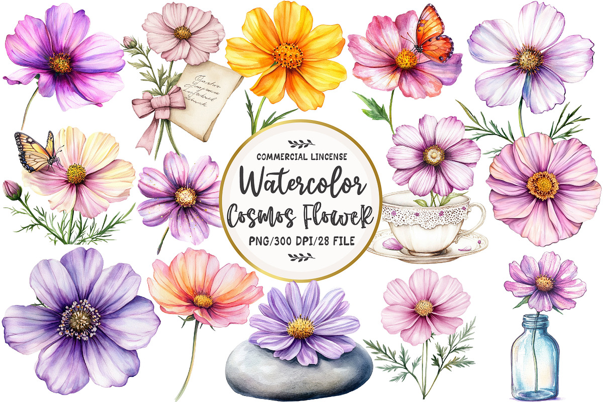 Watercolor Cosmos Flower Clipart, an Illustration by OK Design (Photo 1 of 5)