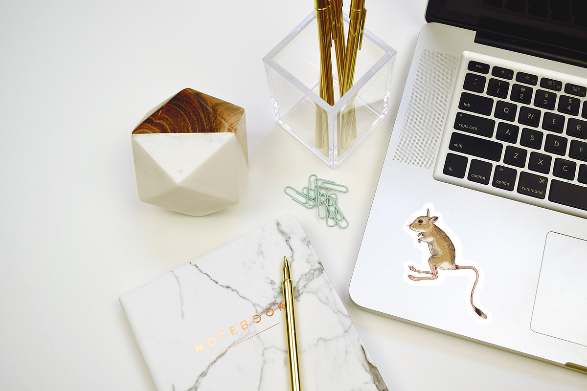 Desert animals collection, an Animal Illustration by handsketched (Photo 4 of 9)