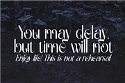 Gradually Reduced Font, a Serif Font by 177Studio (Thumbnail 3 of 7)
