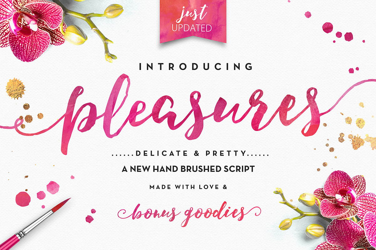 Pleasures Script + Extras, a Script Font by Nicky Laatz (Photo 1 of 11)