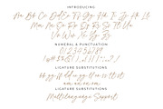 Rosethine | Chic Calligraphy, a Script Font by MJB Letters (Thumbnail 10 of 10)