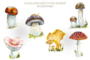 Berries & Mushrooms Clipart, an Illustration by Budogoshch (Thumbnail 2 of 7)