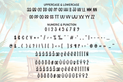 Beach Vibes | Script Font, a Script Font by Scratchones (Thumbnail 7 of 8)