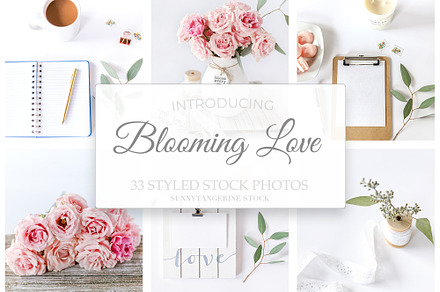 Blooming Love - Styled Stock Photos