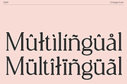 CS Reggie Drawn, a Serif Font by Craft Supply Co. (Thumbnail 5 of 8)