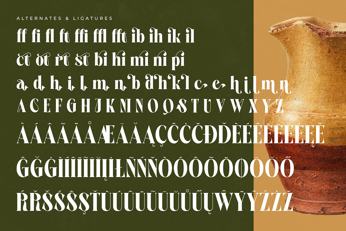 Martego Modern Bold Serif Font, a Serif Font by timelesstype.co (Photo 19 of 20)