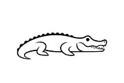 Crocodile Alligator Vector Bundle, an Illustration by jahid234 (Thumbnail 16 of 51)
