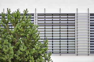 Modern building detail and tree, an Architecture Photo by BOOCYS