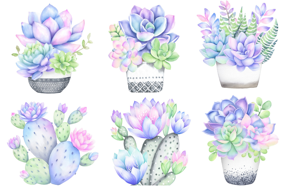 Watercolor Succulent Clipart, an Illustration by Designworld (Photo 3 of 4)