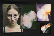 Blurred BLOSSOM backgrounds, a Background Graphic by lerinartstudio (Thumbnail 5 of 13)