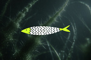 Fishes & Underwater Elements, an Object Graphic by Parisa-Artstudio (Thumbnail 2 of 5)