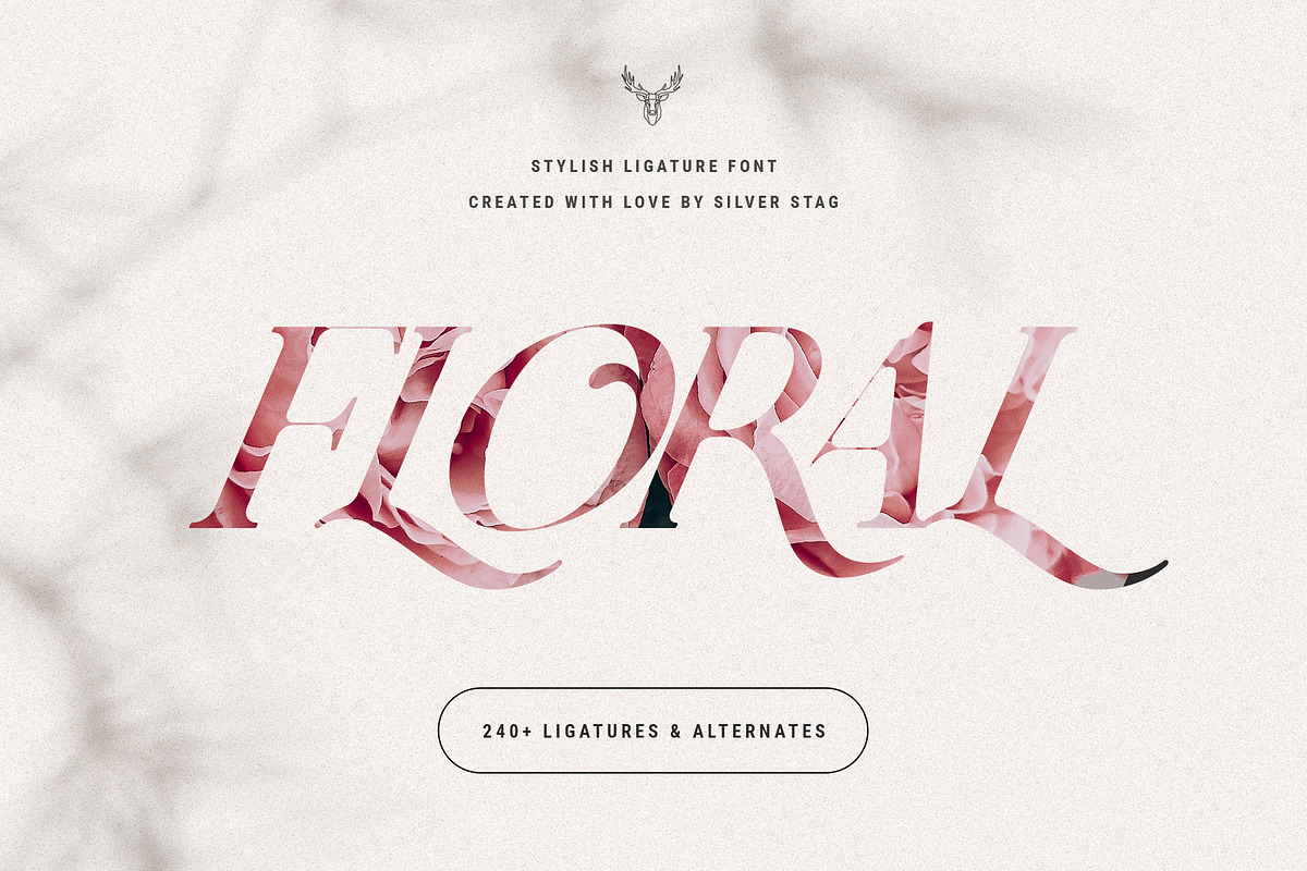 Charles - Ligature Serif Font Family, a Serif Font by SilverStag Type Foundry (Photo 22 of 32)