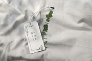 Flora. Botanical collection, an Illustration by Merfin (Thumbnail 8 of 8)