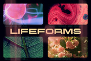 Proscenium - A Wide Sans-Serif Font, a Sans Serif Font by Wingsart Studio (Thumbnail 12 of 14)