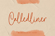 Calledliner - Monoscript Font, a Script Font by StringLabs (Thumbnail 1 of 8)