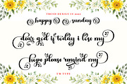 Ardilas, a Script Font by TM Type (Thumbnail 6 of 10)