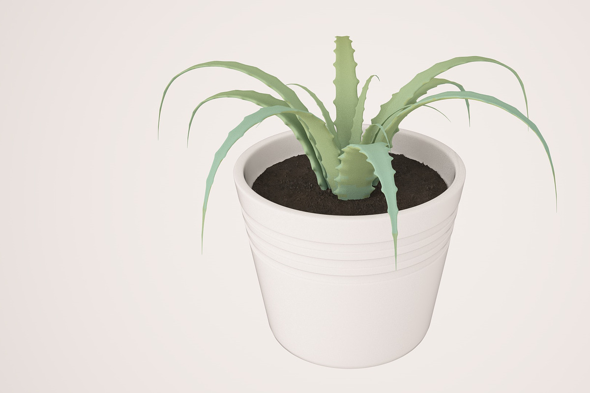 Plant n°1, an Object 3D Model by 3D Furnishing (Photo 6 of 20)