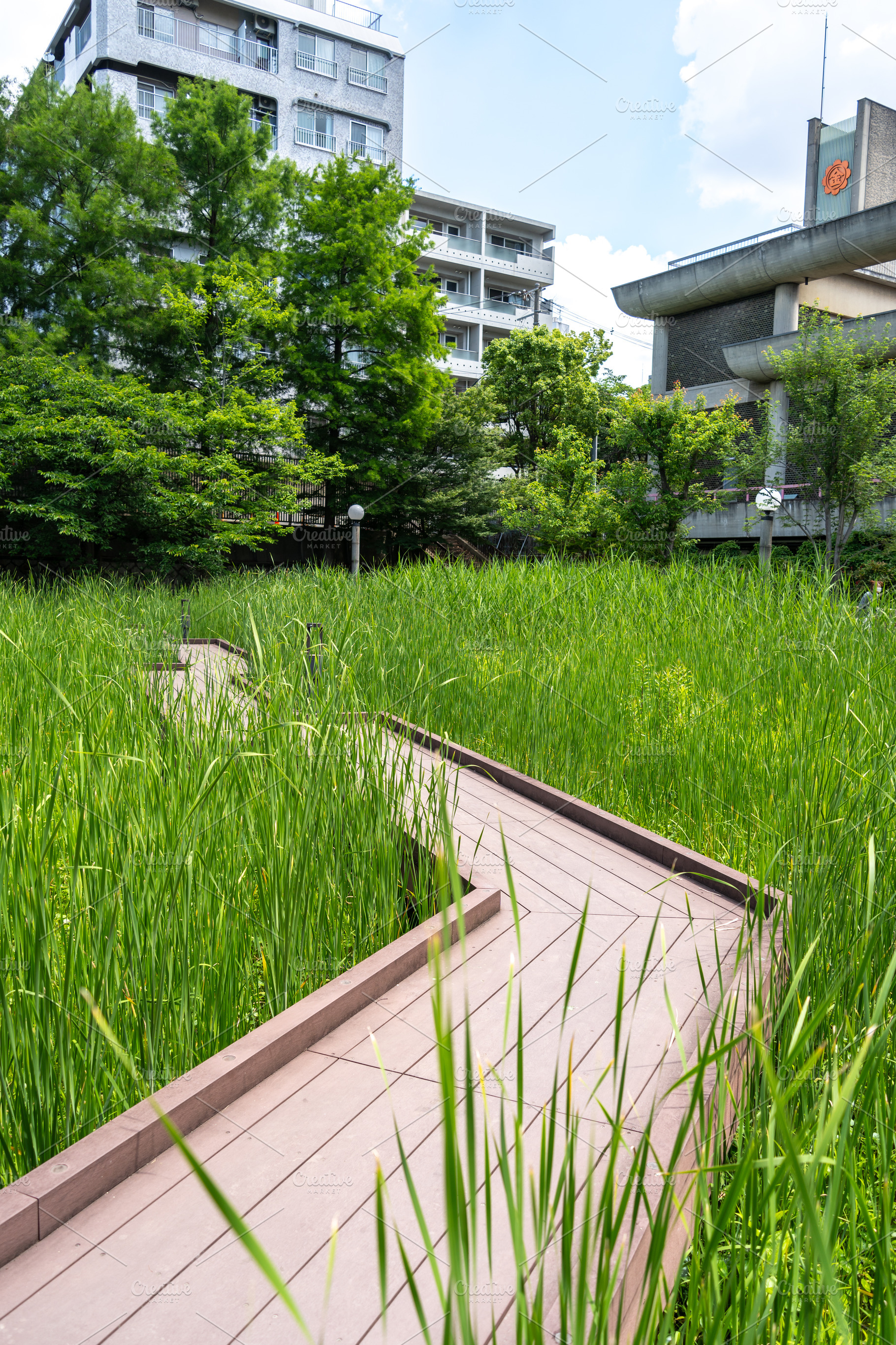 Wooden walkway through tall grass in Tennoji Park, Osaka, an Architecture Photo by GoodGoods
