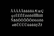The Regalique Sans Serif Family Font, a Serif Font by UICreative (Thumbnail 13 of 13)