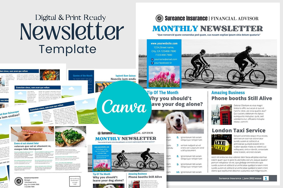 Canva newsletter template for business