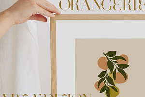 Abstract Orange Summer Botanicals